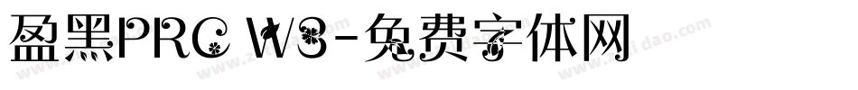 盈黑PRC W3字体转换